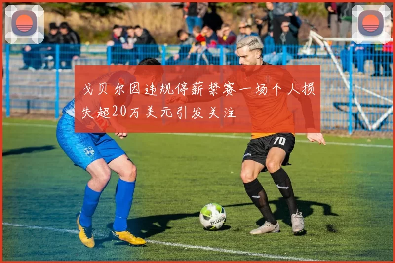 戈贝尔因违规停薪禁赛一场个人损失超20万美元引发关注