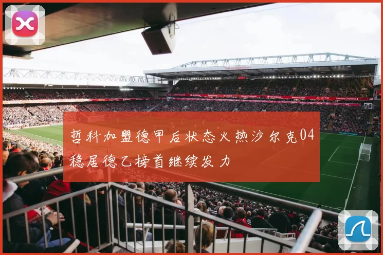 哲科加盟德甲后状态火热沙尔克04稳居德乙榜首继续发力